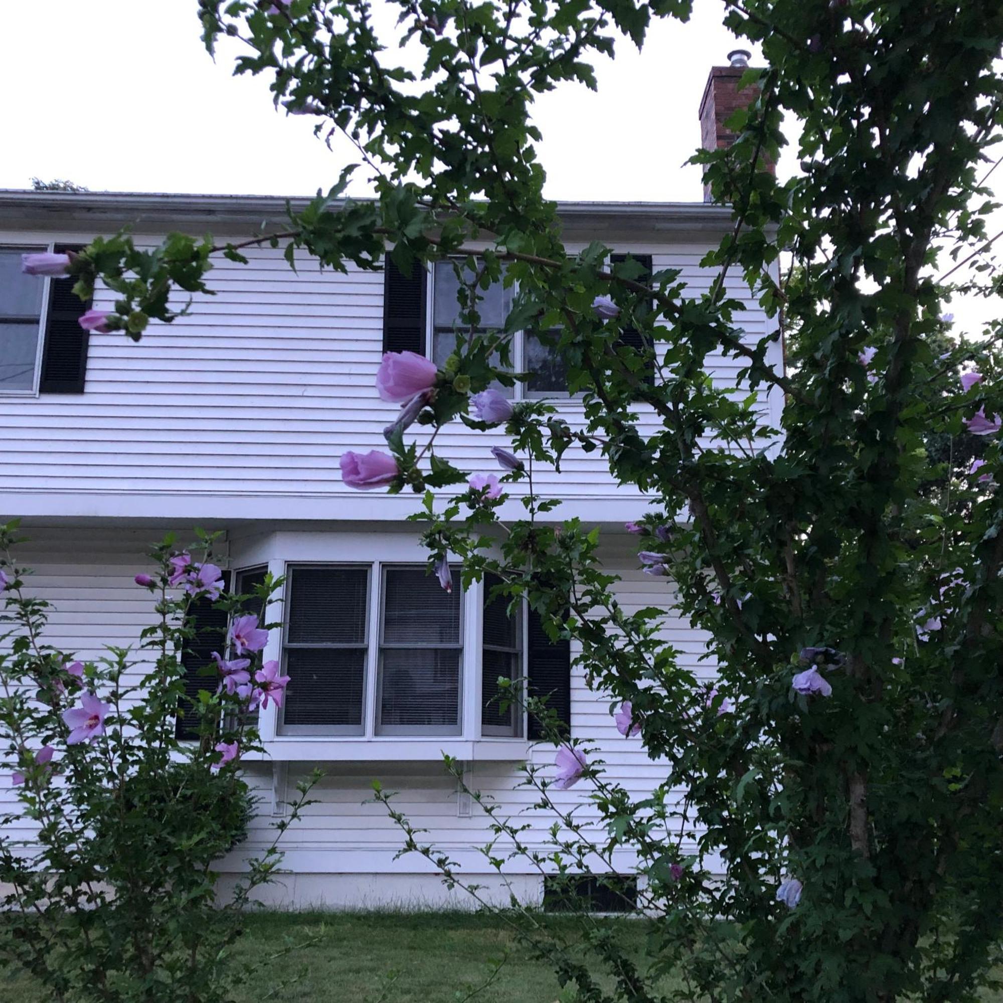 Boston Single Family House - Super Quiet And Private 빌라 외부 사진
